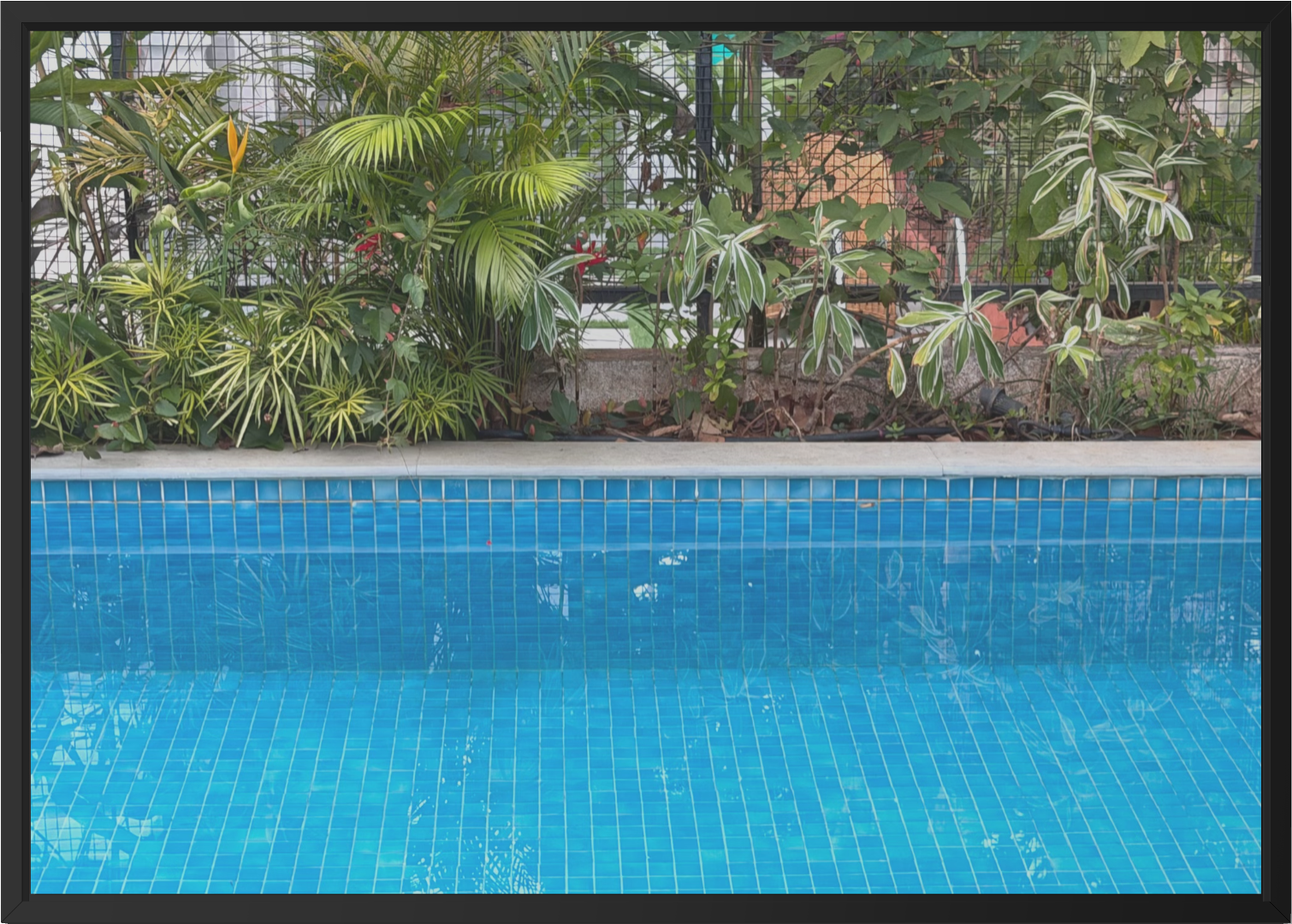 Yeah, I'll go swimming.Print.