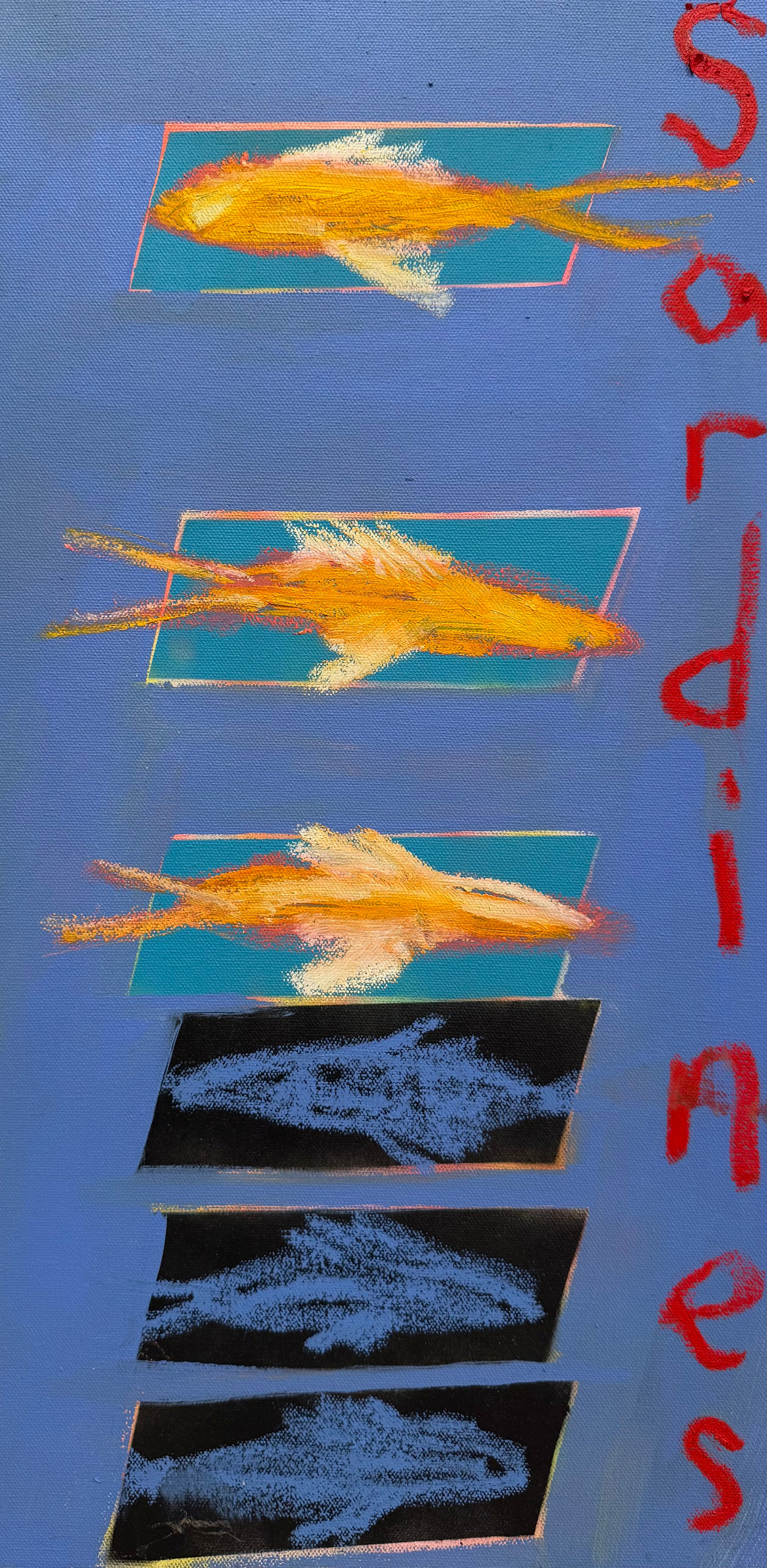 Shhh. Don't tell anyone but I secretly love sardines. I think it's the salt levels but then I think about their cute little lives and fall in love with them even more.